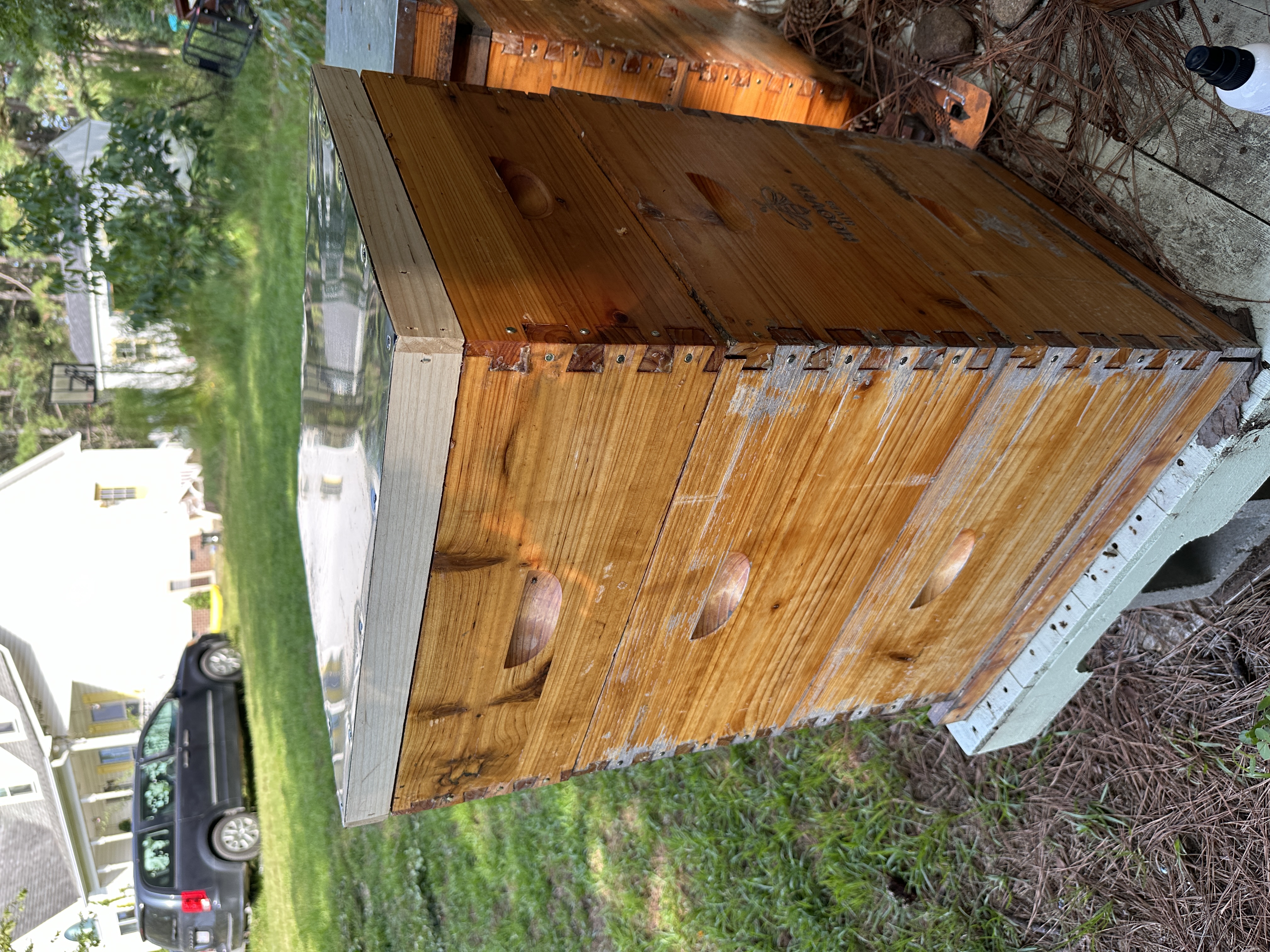 Honey Harvest